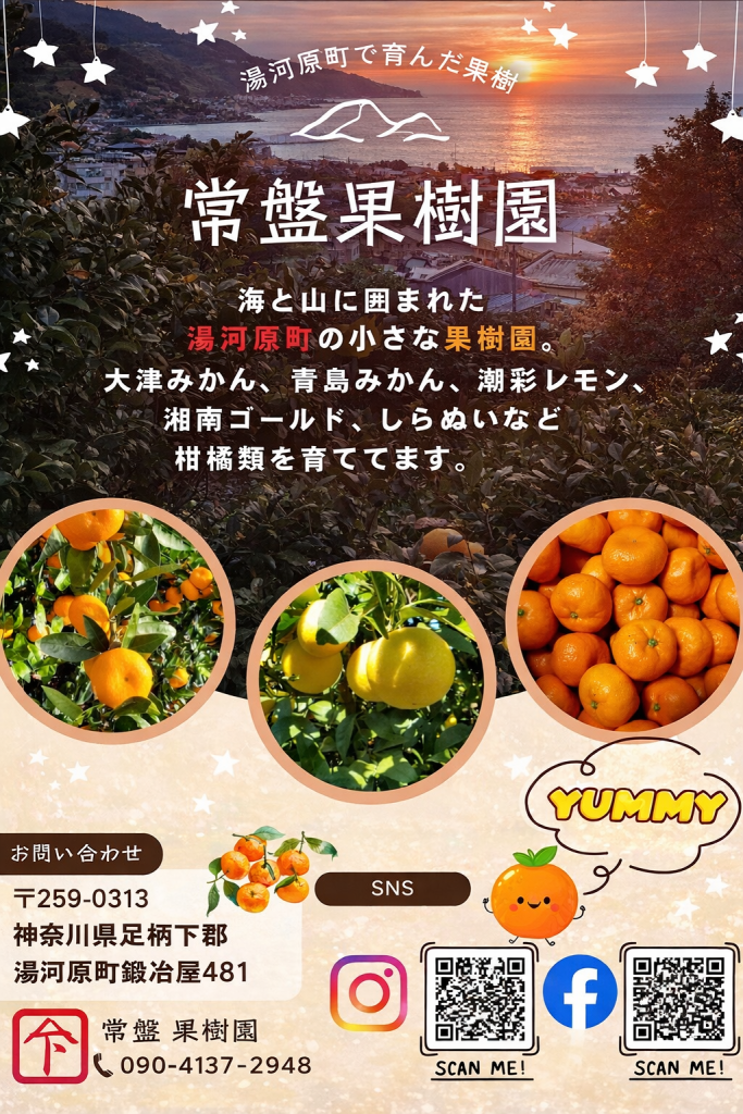 1bdd5969 d554 4463 83f4 36a23291cfb3 1bdd5969 d554 4463 83f4 36a23291cfb3