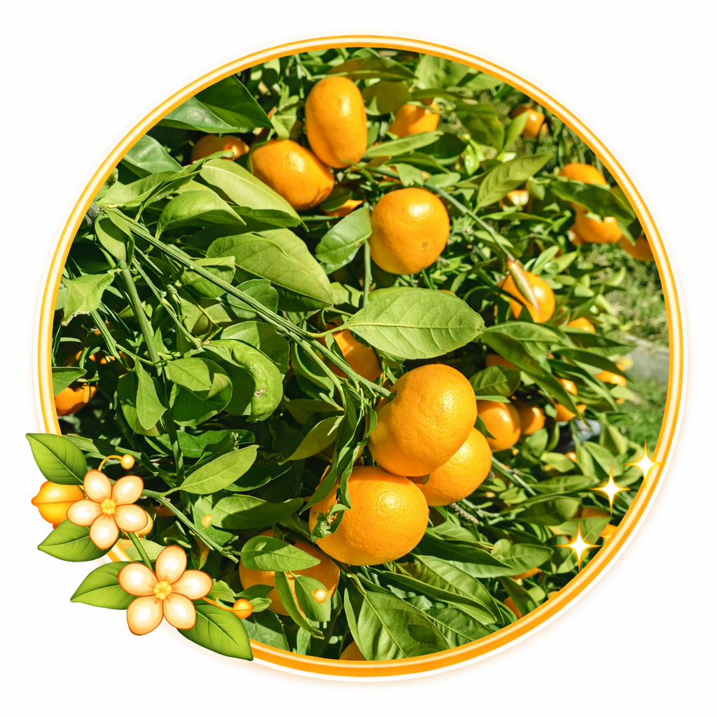 Home 63216e00 a15b 4982 a94a 7472925007c5